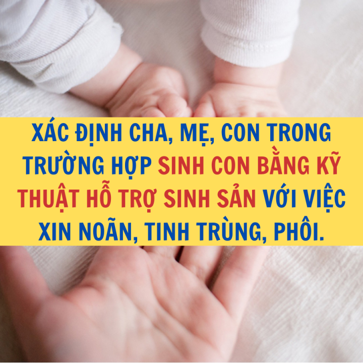 Xác định cha, mẹ, con trong sinh con bằng kỹ thuật hỗ trợ sinh sản với việc xin noãn, tinh trùng, phôi - Công ty Luật Thuận Đức